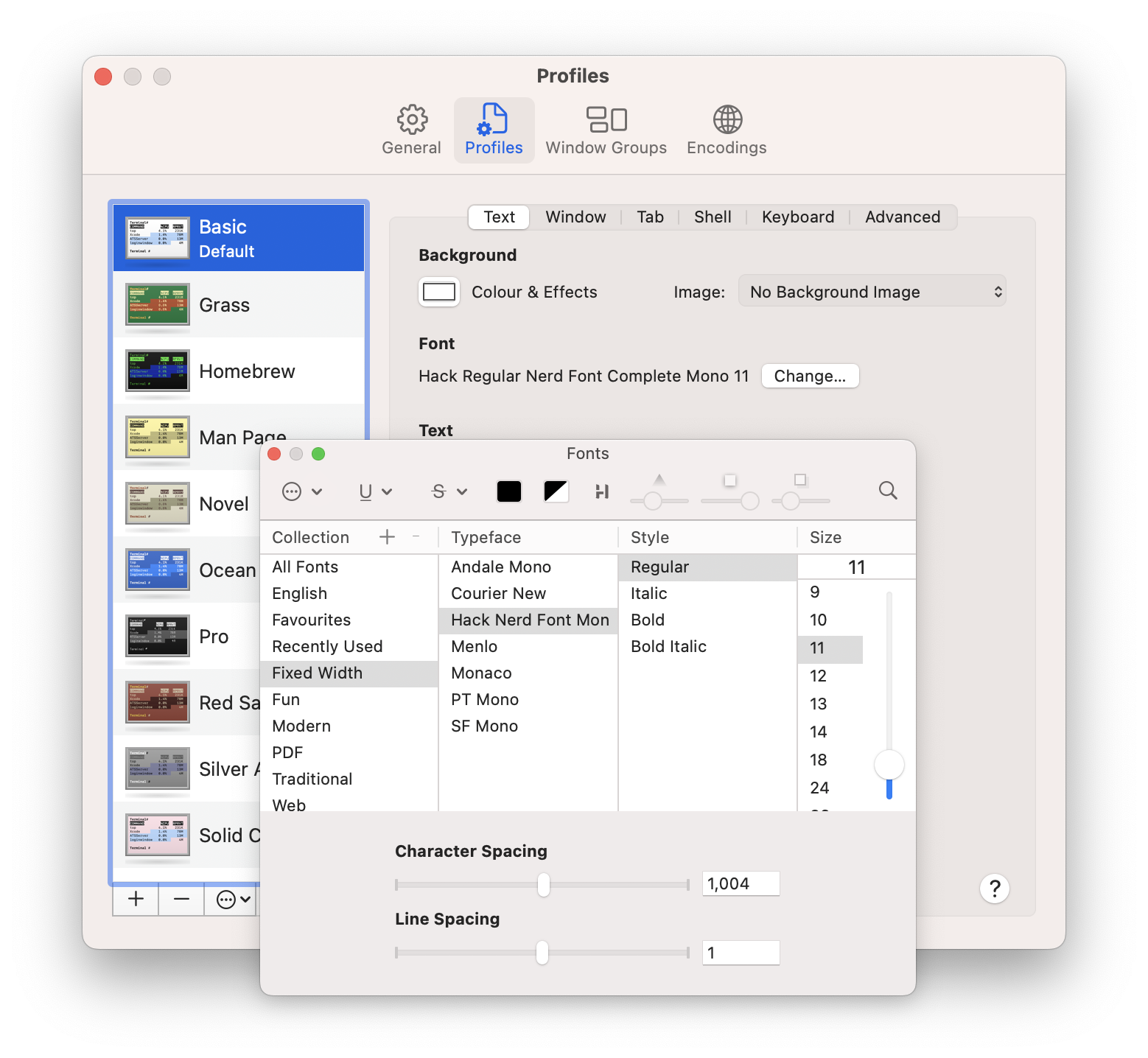 Hack Regular Nerd Font