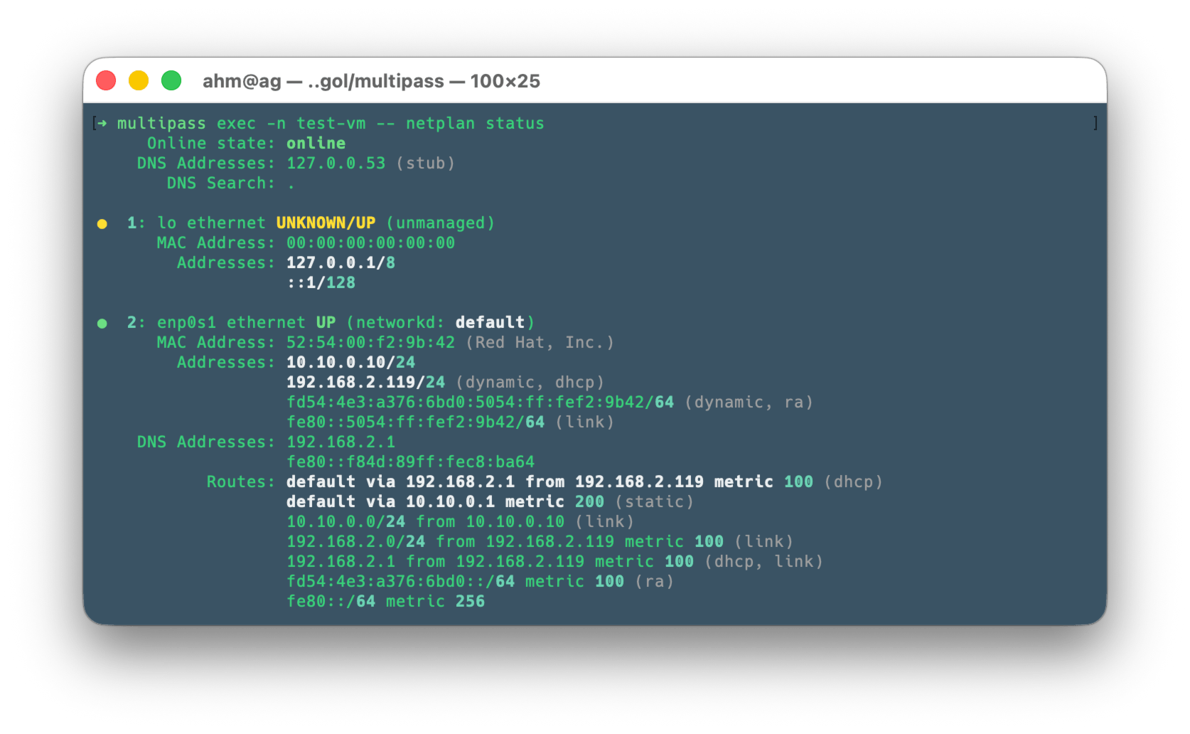 test-vm netplan status