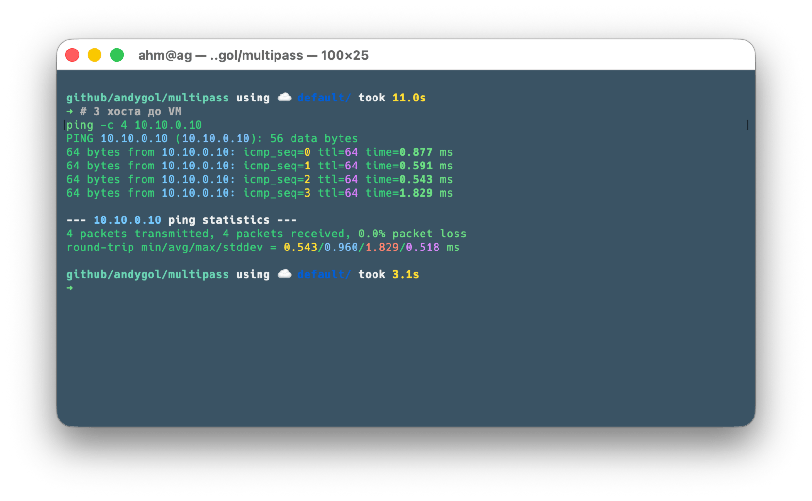 ping from host to VM