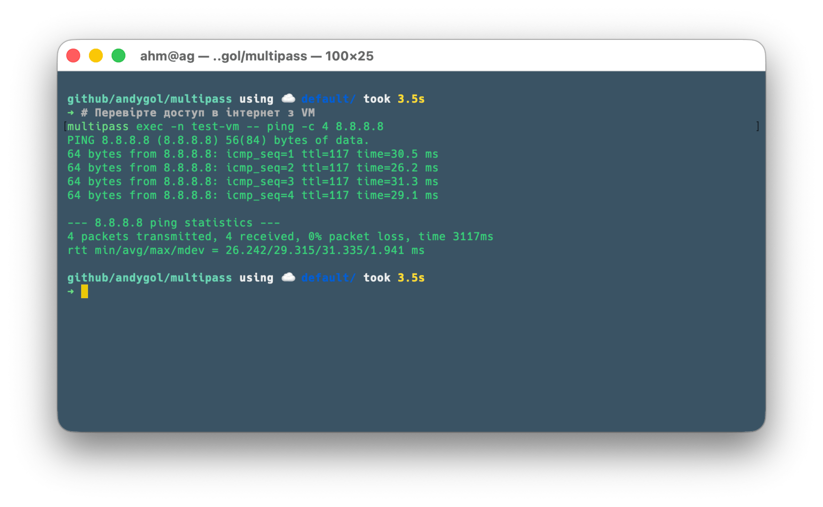 ping to internet from VM