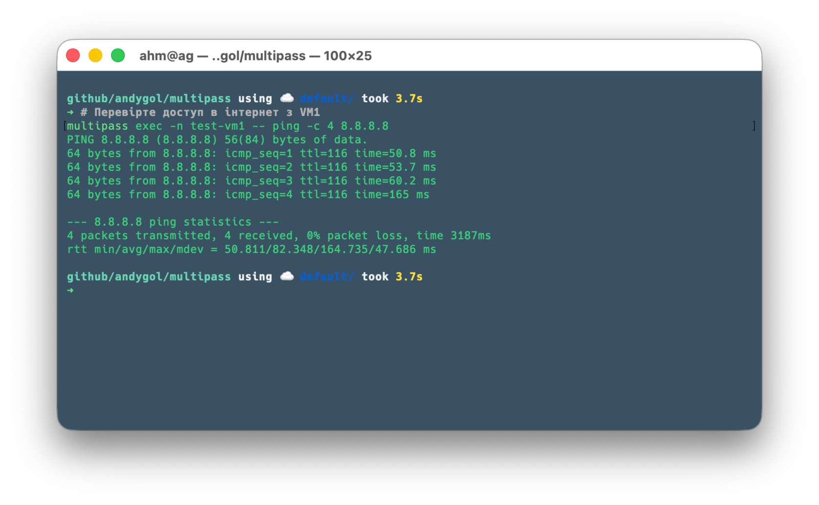 Check Internet access from VM1