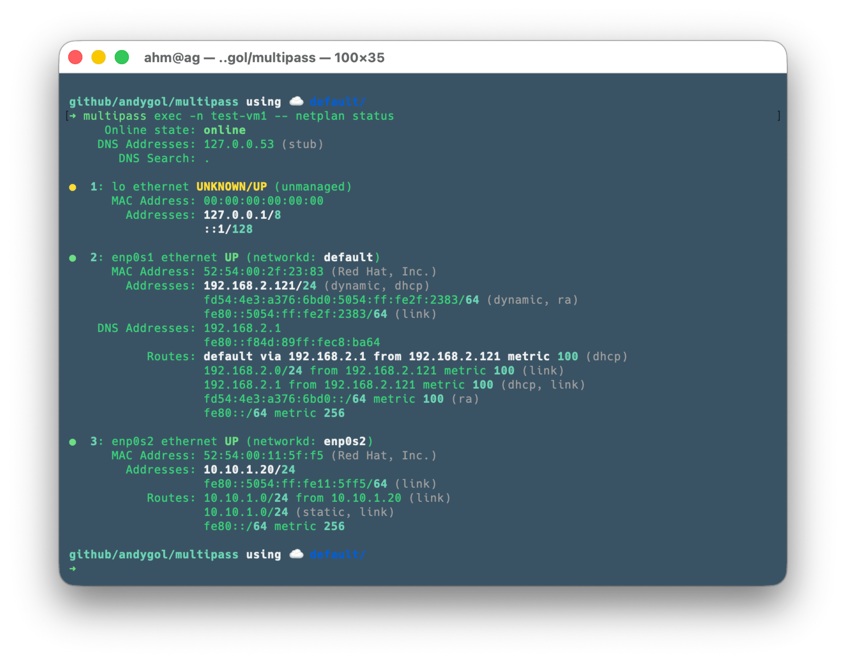 test-vm1 netplan status